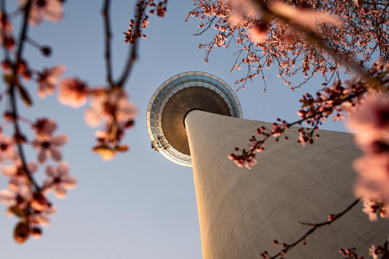 Hostel 만하임 외부 사진 The top of the tower